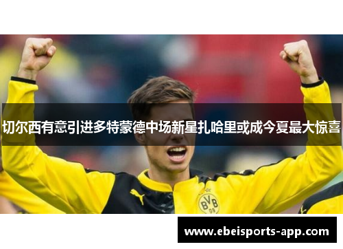 切尔西有意引进多特蒙德中场新星扎哈里或成今夏最大惊喜